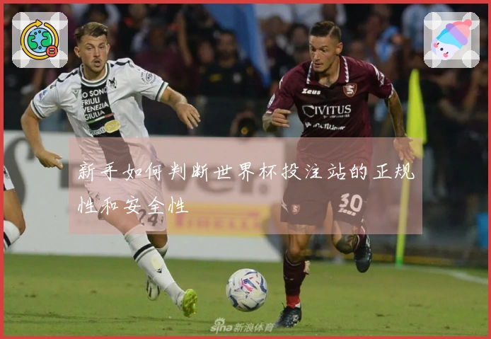 新手如何判断世界杯投注站的正规性和安全性
